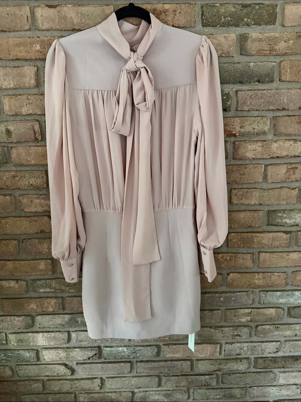 Commense Dusty Blush Tie-Neck Long Sleeve Mini Dress